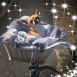 Meet your Posher, Crystal